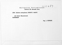 Image Associated With the Occurrence